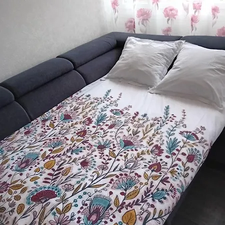 Apartment Monte Cristo Metz