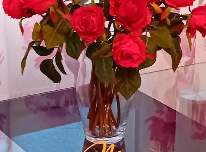 Monte Cristo Apartamento