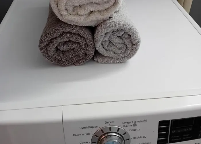 Monte Cristo Appartement Metz